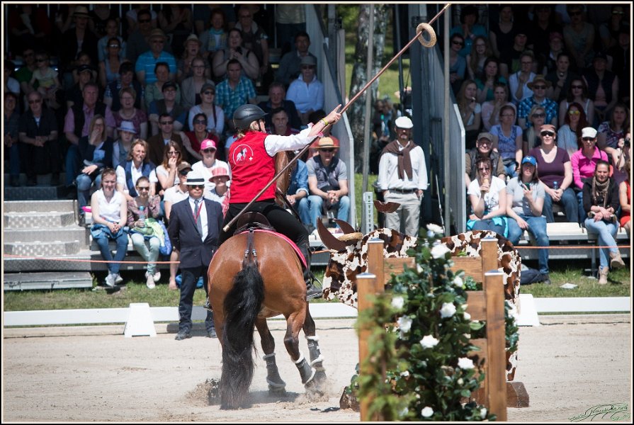 Pferd International 069
